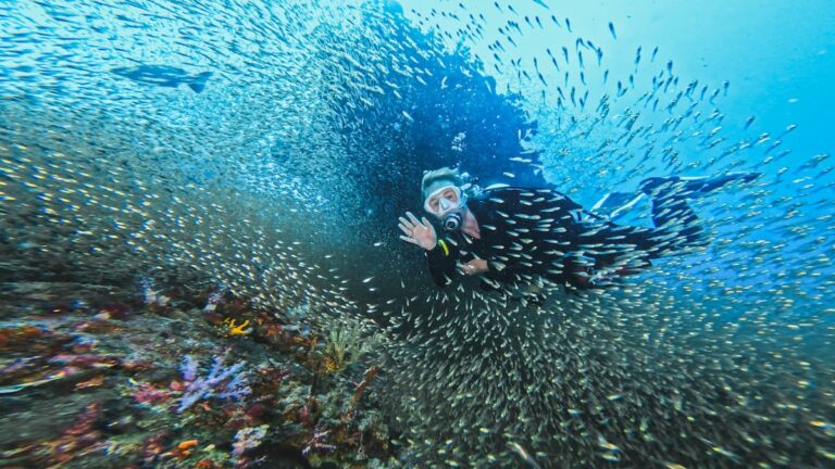 Scuba diver exploring Richelieu Rock reef Thailand underwater scene