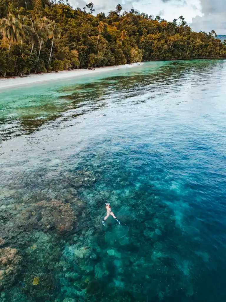 Snorkeller exploring coral reef in front of Biodiversity Resort on Gam Island, Raja Ampat