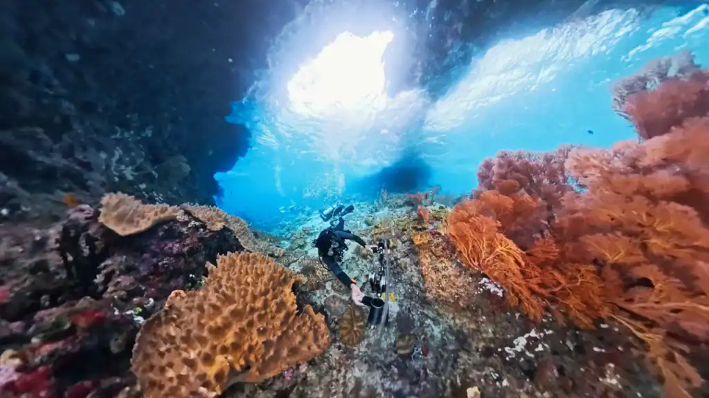 Diver photographing coral reef inside underwater cavern in Raja Ampat, Indonesia