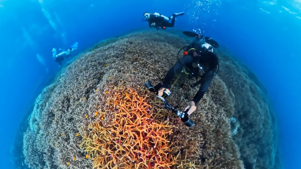 Central Raja Ampat Dive Sites Guide 2026