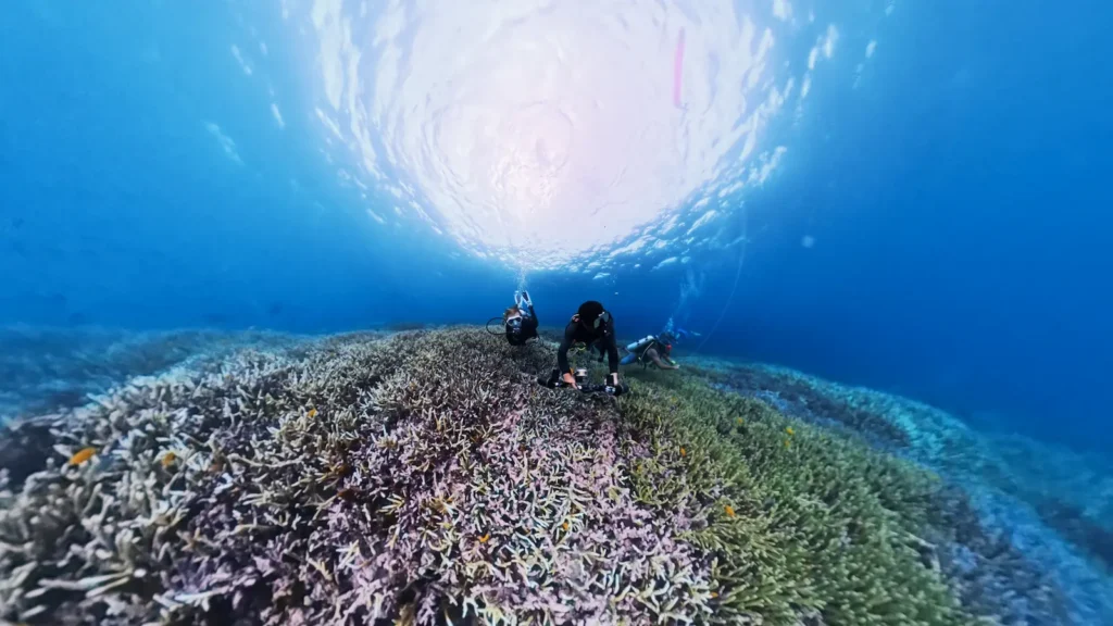 Tourism activity near popular dive sites in Raja Ampat