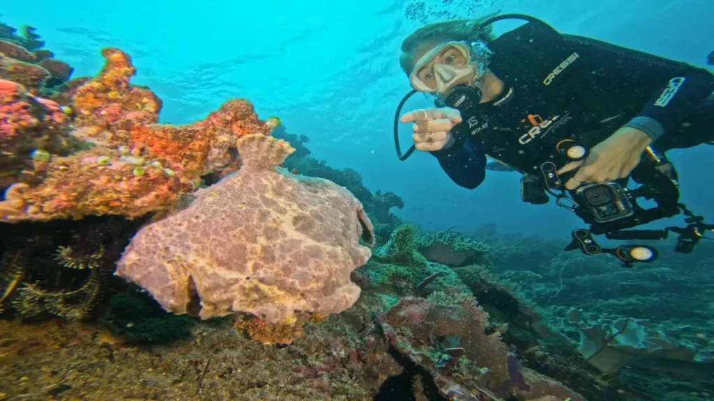 Frogfish macro marine life spotted while diving South Lombok
