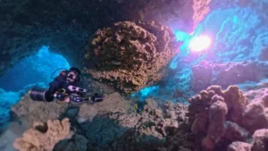 Scuba diver exploring reef near Kuta Lombok dive sites