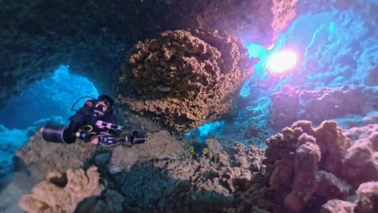 Scuba diver exploring reef near Kuta Lombok dive sites
