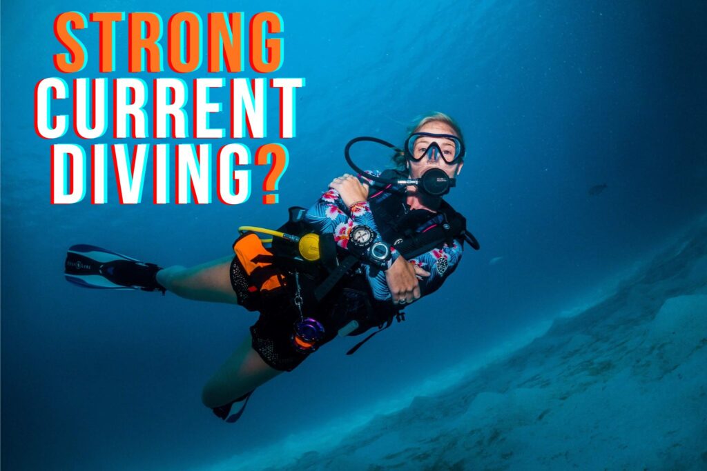 Is Komodo Diving Dangerous - Strong current diving
