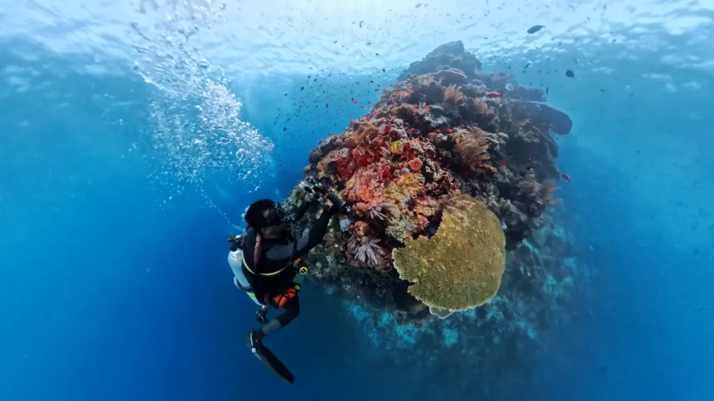 Batu Bolong dive site Komodo coral pinnacle