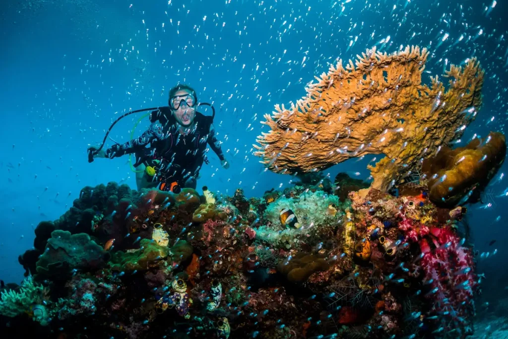 Diver amongst Komodo biodiverse Coral Reefs