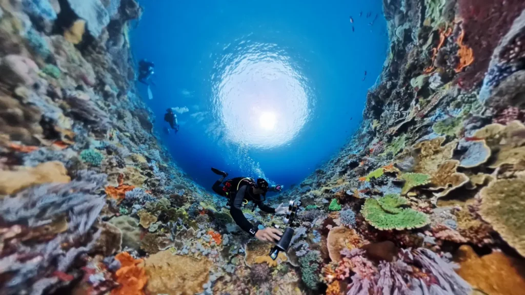 scuba diver exploring the biodiverse reef komodo national park indonesia
