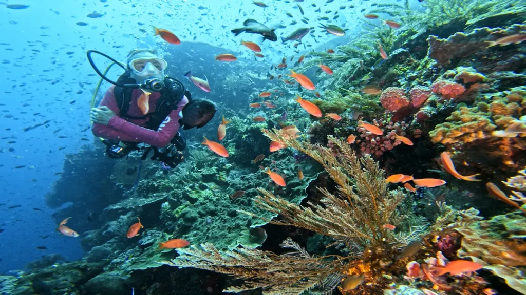 scuba diver exploring reef komodo national park indonesia