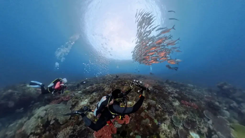 remote coral reef dive site south komodo national park