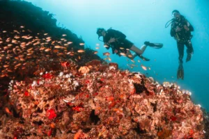 Scuba diver in strong current during Maldives drift dive