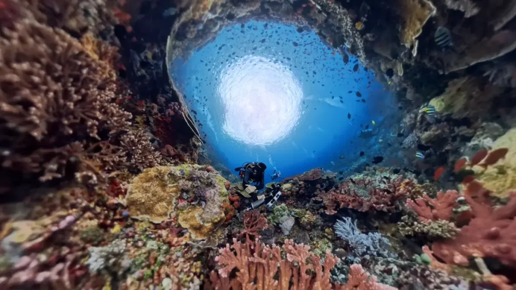 Drift diving at Tatawa Kecil in Komodo National Park Indonesia
