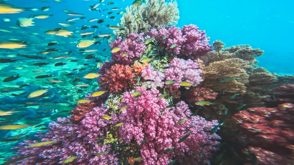 Scuba diver exploring Stonehenge coral reef in Koh Lipe during rainy season