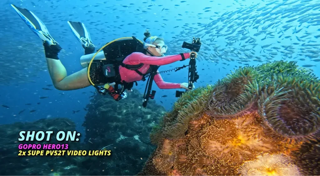 Scuba diver filming a colourful anemone underwater, captured using a GoPro HERO13 and two SUPE PV52T video lights