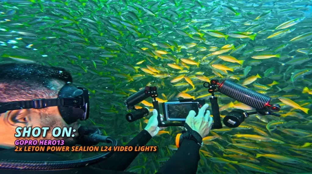 Underwater camera operator being captured with a school of yellow fish results using a GoPro HERO13 and two LetonPower Sealion L24 video lights