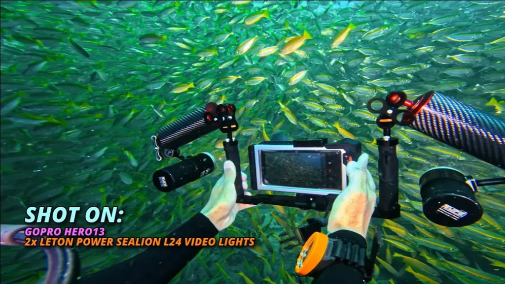 Diver's view of an underwater camera tray with two LetonPower Sealion L24 lights positioned on extended arms